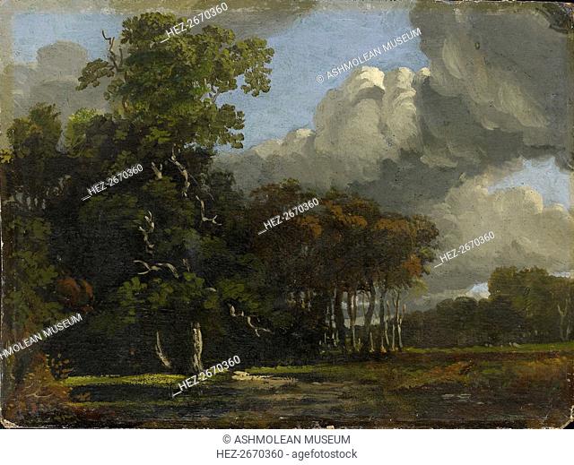 Woodland Landscape, c1816-1820. Artist: William Turner