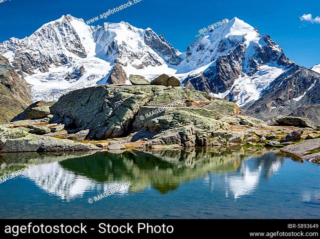 Small mountain lake on Fuorcla Surlej with Piz Bernina and Piz Roseg, Silvaplana, Bernina Alps, Upper Engadine, Engadine, Grisons, Switzerland, Europe