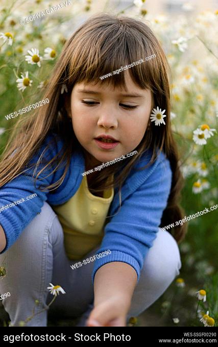 Curious girl playing with flowers crouching in meadow
