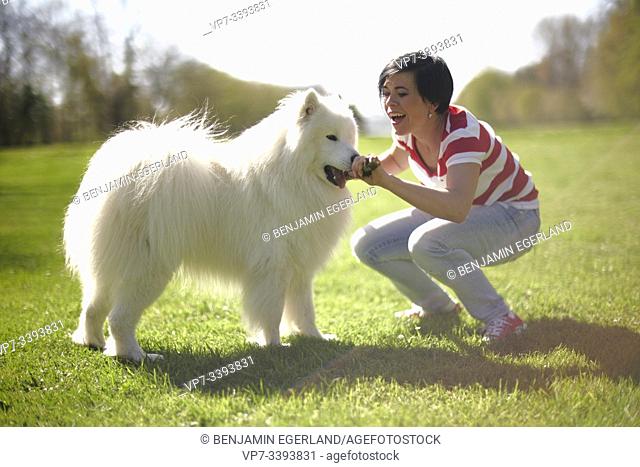 woman playing with fluffy big white dog in park, at Herrenchiemsee, Chiemsee, Bavaria, Germany