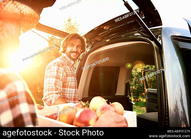 Fruit grower loading car with apple crates