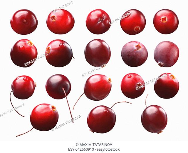 Forage cranberries (Vaccinium oxycoccos), single berries. Clipping path for each berry, shadowless