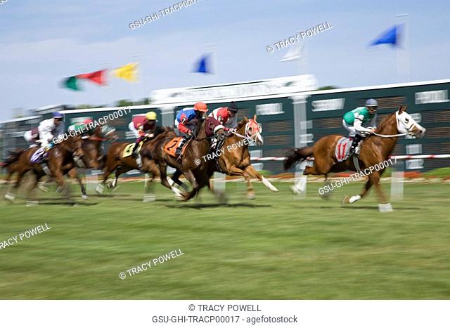 horse racing, race tracks, jockeys
