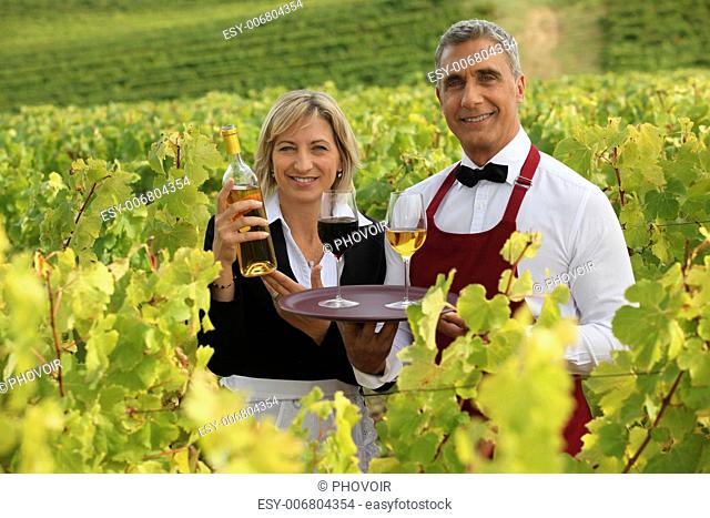 waitress and sommelier in vineyards