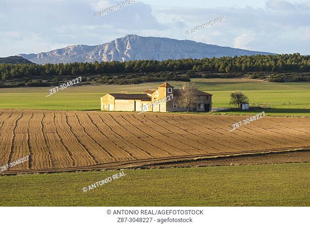 Farmhouse. Los Pozuelos. Almansa. Albacete province. Spain