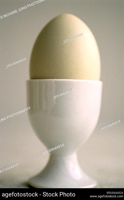 Egg in egg-cup