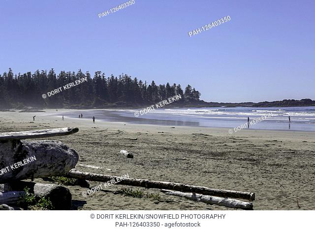 05.09.2014, Canada, Tofino, coast of Tofino, Vancouver Island, driftwood on the beach, Chesterman Beach, photo: Snowfield Photography, | usage worldwide
