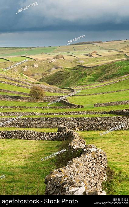 View of dry stone walls and pastures, Litton, Peak District N. P. Derbyshire, England, United Kingdom, Europe
