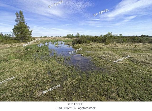 Fen on Stora Alvaret plateau, Sweden, Oeland, Stora Alvaret