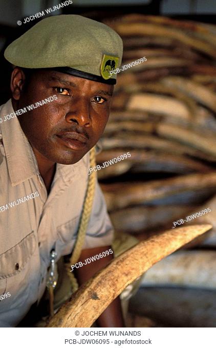 Tsavo National Park, a warden guards a pile of ivory elephant tusks confiscated from poachers