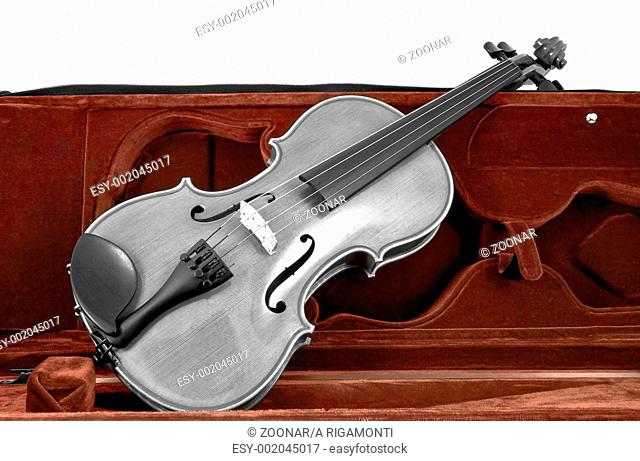 Blacnk and white italian Violin in red brown case isolated on white
