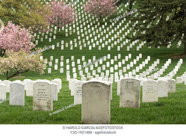 Fallen Heroes aligned rows of tombstones Arlington USA