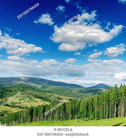 Beautiful green mountain landscape with trees in Carpathians. Bukovel region, Ukraine