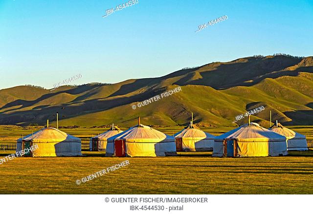 Yurts, tourist camp in the morning light, Orchon Valley, Mongolia