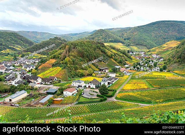 On the red wine hiking trail in the Ahrtal in Rhineland-Palatinate, Germany. A tourist attraction, especially in autumn