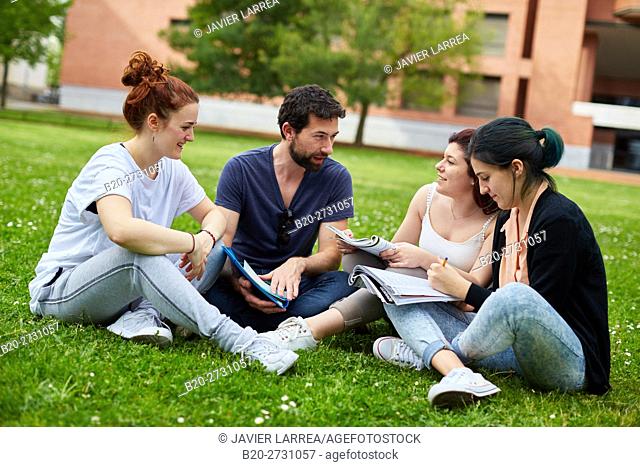 Students reviewing notes on campus lawn
