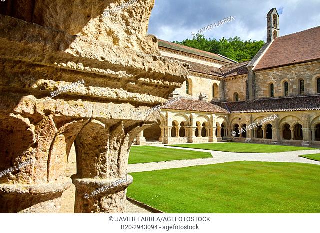 Cloister, Abbaye Royale de Notre Dame de Fontenay, Fontenay Cistercian Abbey, Montbard, Côte d'Or, Burgundy Region, Bourgogne, France, Europe