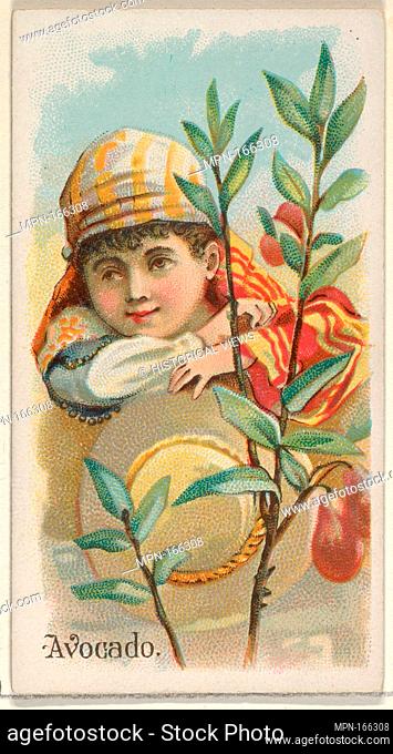 Avocado, from the Fruits series (N12) for Allen & Ginter Cigarettes Brands. Publisher: Issued by Allen & Ginter (American, Richmond