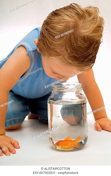 Toddler boy looking at goldfish in jar or bowl