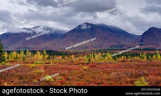 Autumnal Denali National Park Scenery in cloudy day, AK