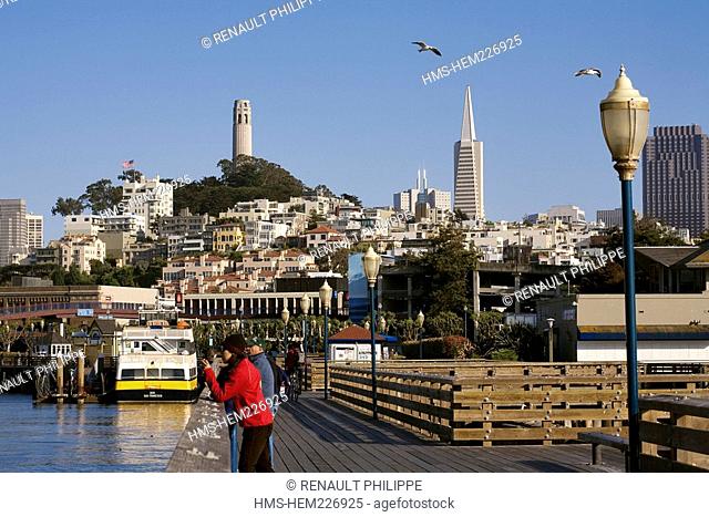United States, California, San Francisco, Fisherman's Wharf, basically Telegraph Hill, Colt Tower and the Transamerica Pyramid tower