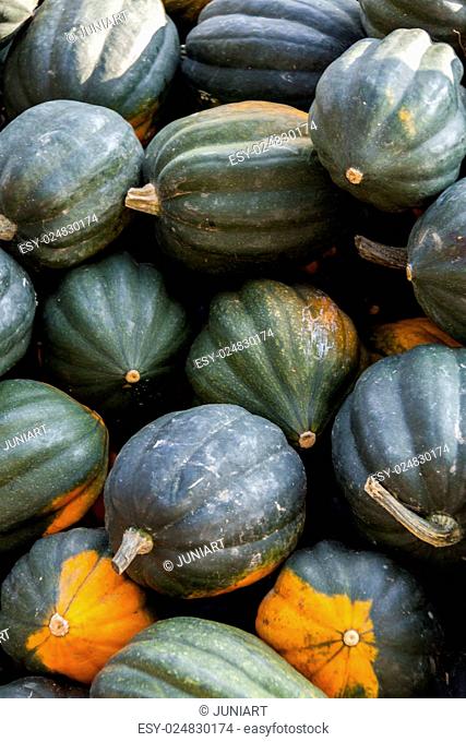 Mesa Queen Eichelk'+¢'+¢rbis Winterhorn cucurbita pumpkin pumpkins from autumn harvest on a market