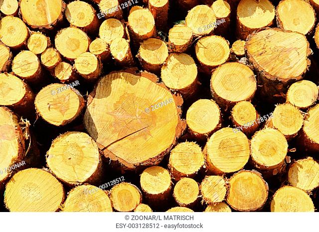 Holzstapel - stack of wood 34