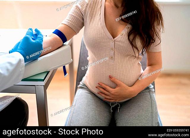 Prenatal Screening. Doctor Drawing Blood Sample From Pregnant Woman