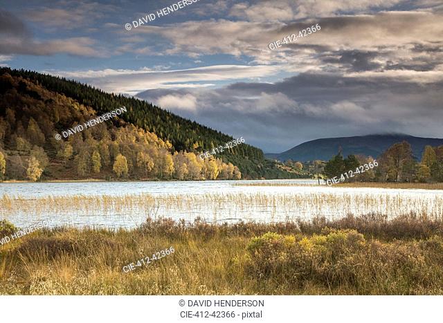 Tranquil, idyllic landscape with autumn hills and lake, Loch Pityoulish, Aviemore, Scotland