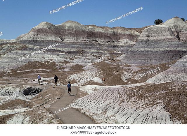 USA, Arizona, Petrified Forest National Park, Blue Mesa, Blue Mesa Trail, sedimentary layers of bluish bentonite clay, hikers