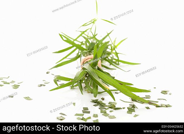 Tarragon, also known as estragon. Artemisia dracunculus. Culinary and medicinal herb