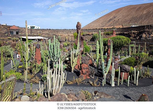 Jardin de Cactus by artist Cesar Manrique, Guatiza area, Lanzarote island, Canary archipelago, Spain, Europe