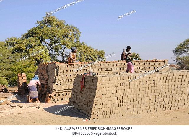 Women and men building a firing furnace for bricks, brick factory between the brick pagodas, Bagan, Myanmar, Burma, Southeast Asia, Asia