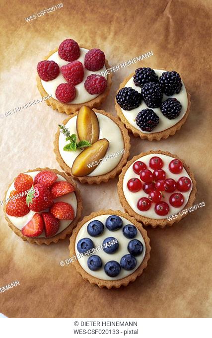 Six pies with vanilla pudding and different fruits on baking paper, studio shot