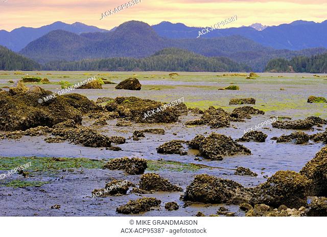 Pacific Ocean at low tide Meare's Island British Columbia Canada
