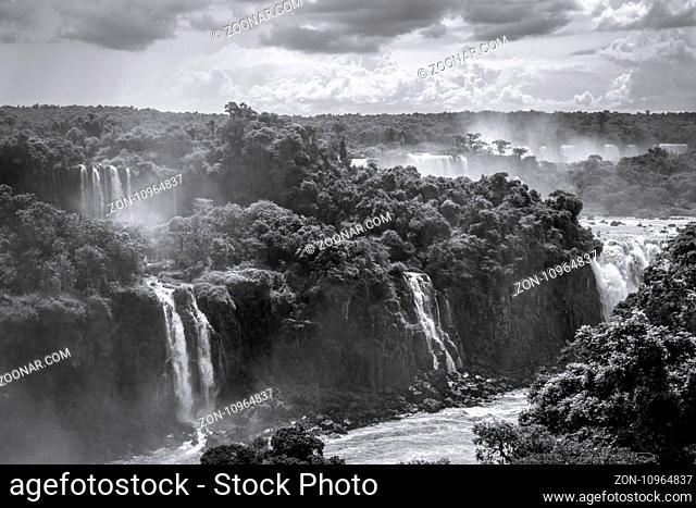 iguazu falls national park. tropical waterfalls and rainforest landscape. Black and white