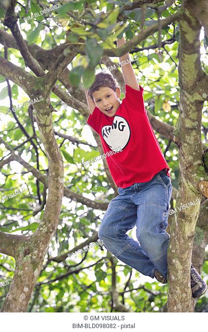 Hispanic boy playing in tree