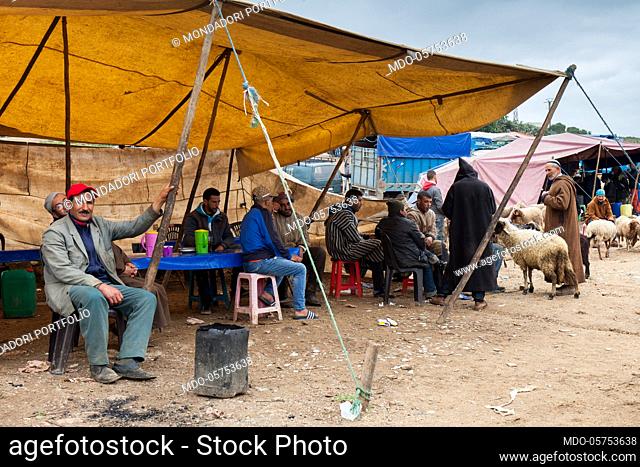Sheep market on the road from Tangeri to Chefchaouen. The vendors talk about waiting for customers. Tetouan, Morocco April 2018