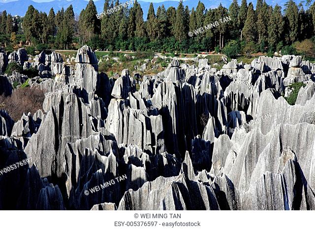 Shilin Stone Forest National Park