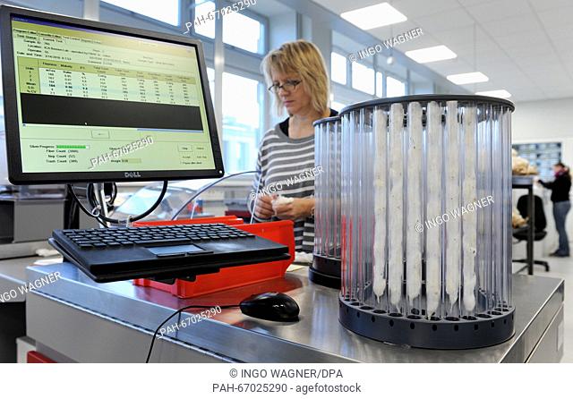 An employee of the Bremen Cotton Exchange prepares fibre samples from various growing areas for laser scanning using an analyser