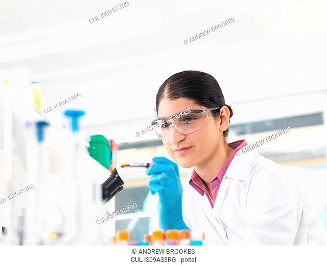 Young woman scientist viewing blood tube during clinical testing of medical samples in a laboratory