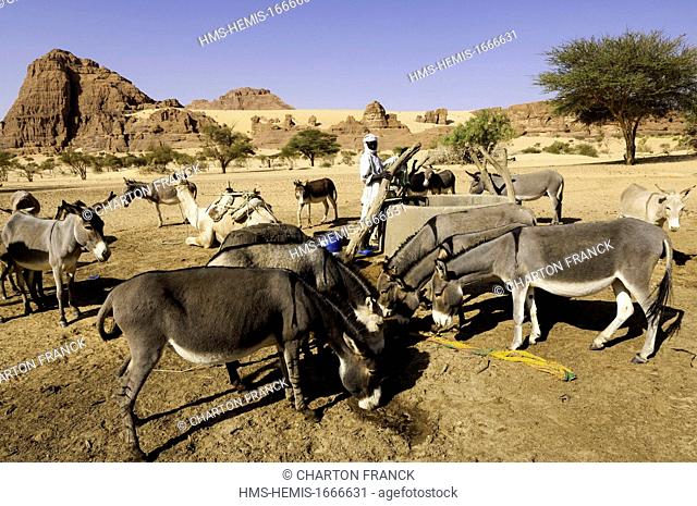 Chad, Southern Sahara desert, Ennedi massif, Birdjigol well