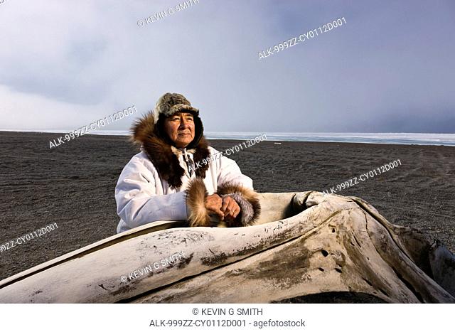Male Inupiaq Eskimo hunter standing behind a Bowhead whalebone along the Chukchi Sea wearing his Eskimo parka Atigi, seal skin hat and wolf skin Maklak's with...