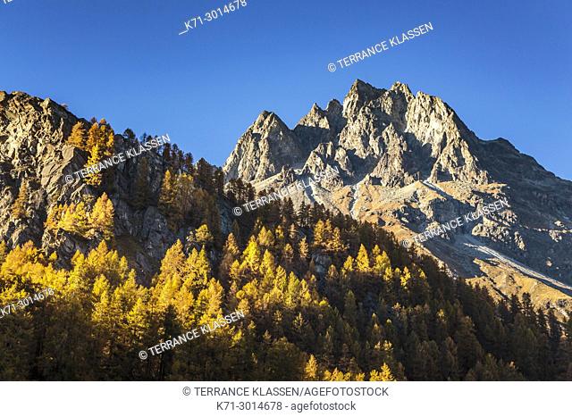 Swiss alps mountains with larch trees in the autumn season near the Julier Pass, Switzerland, Europe