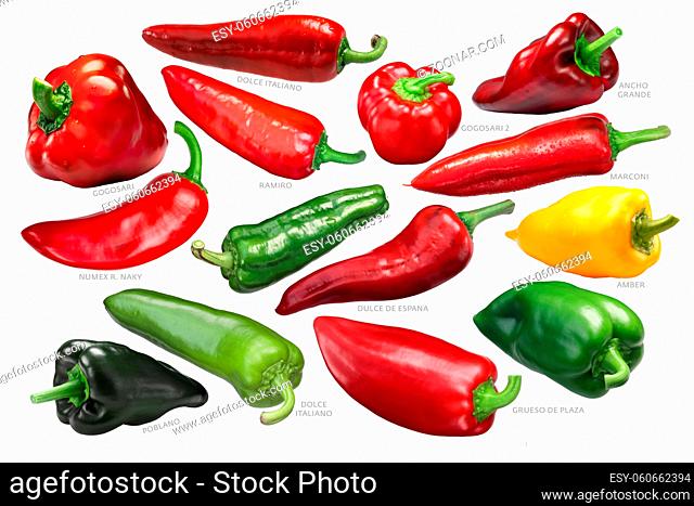 Sweet and bell peppers collection (non-pungent Capsicum annuum spp. fruits), whole pods