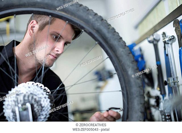Young man working in bicycle shop
