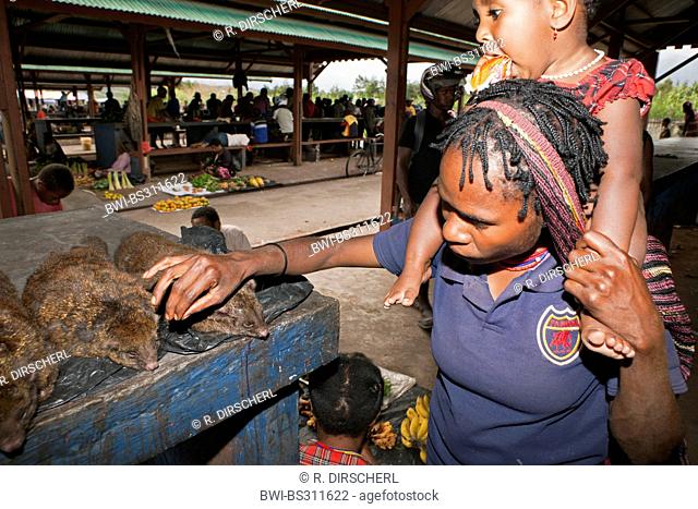marsupials at Market of Wamena, Indonesia, Western New Guinea, Baliem Valley
