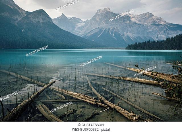 Canada, British Columbia, Columbia-Shuswap A, Emerald Lake Trail, Michael Peak, Yoho National Park, Rocky Mountain