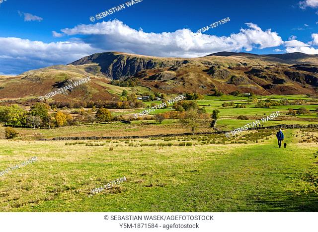 View over Dale Bottom towards High Rigg in the Lake District National Park, Cumbria, England, UK, Europe