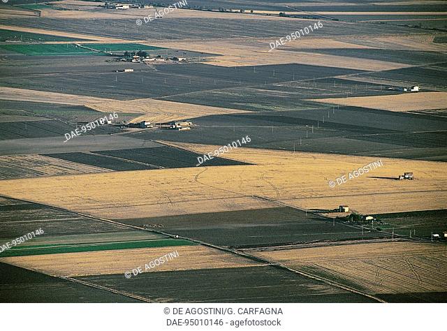 Agricultural landscape in the Puglia countryside, Apulia, Italy